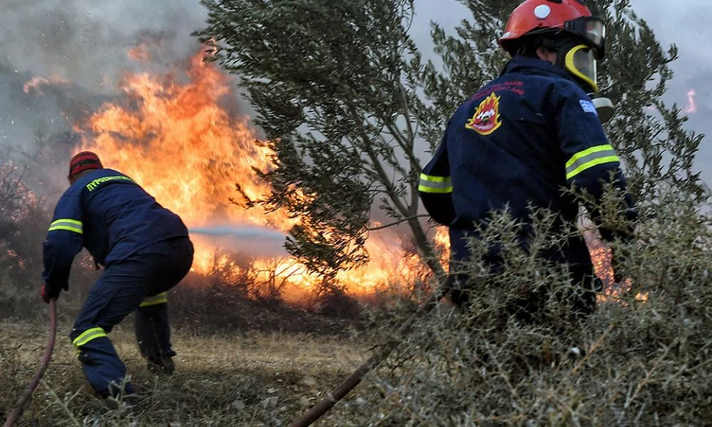 Φωτιά ξέσπασε σε δασική έκταση στη Λακωνία